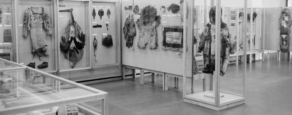 In Sonderausstellungen zeigte das Museum immer wieder thematische Zusammenstellungen wie hier eine Ausstellung mit dem Internationalen Ornithologenkongress.