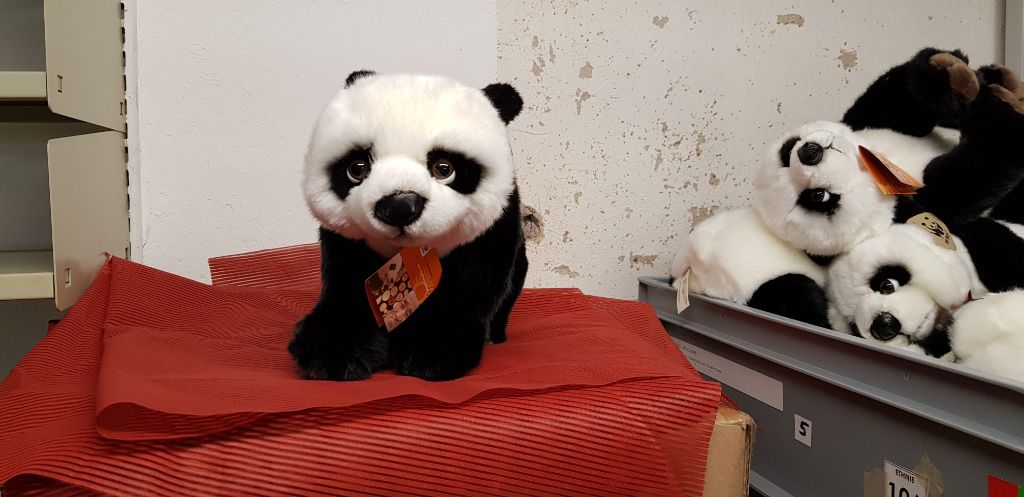 Ein Plüsch-Panda steht auf einer Kiste, während die anderen im Hintergrund aufeinander gestapelt liegen. Hier, im Shop-Lager, ist ihr Reich!