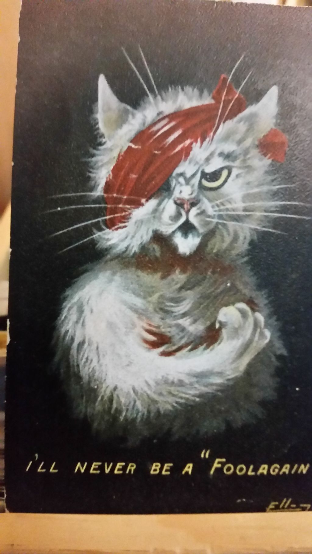 Das Bild zeigt eine Postkarte mit einer grauen Katze. Sie steht wie ein Mann da mit verschränkten Armen und einer roten Augenbinde über dem rechten Auge. Darunter steht: I'll never be a fool again