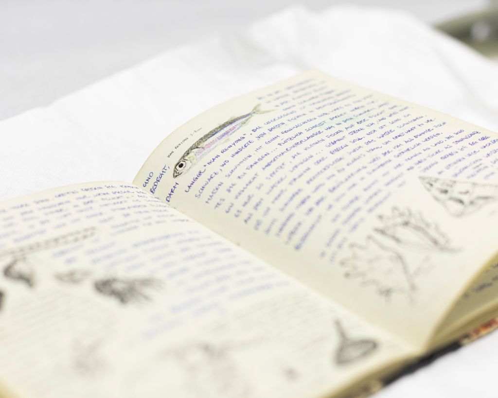 Aufgeschlagenes Buch auf weissem Papier. Blaue Schrift, Zeichnungen über und unter und neben dem Text in Schwarz-Grau
