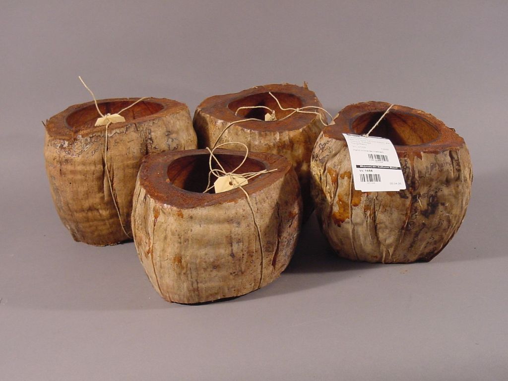 Vier ausgehöhlte Kokosnussschalen, einer mit einem Etikett auf dem zwei Strichcodes zu sehen sind.