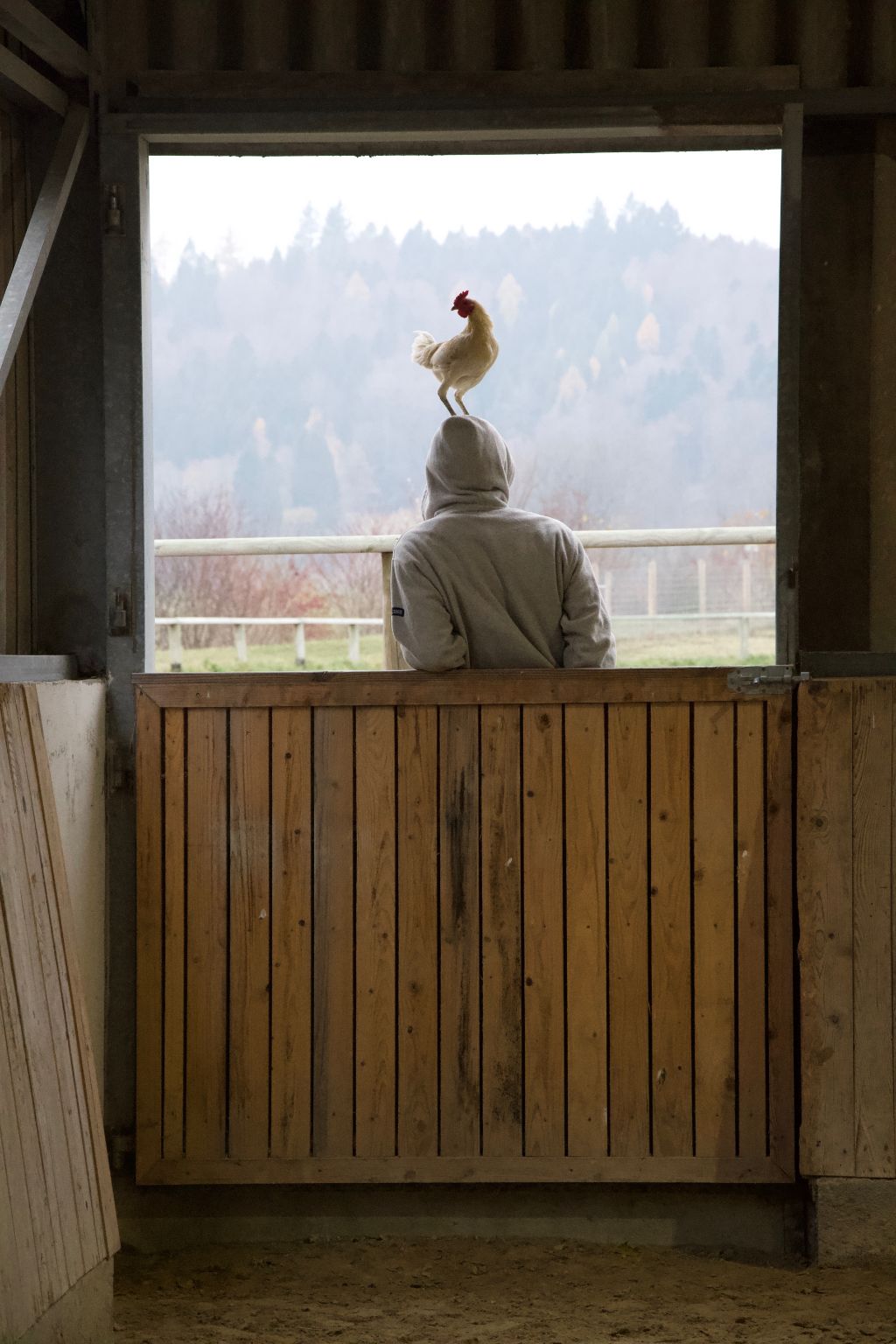Ein Mann hat ein Huhn auf dem Kopf und steht vor einer Stalltür mit Blick über die Weide.