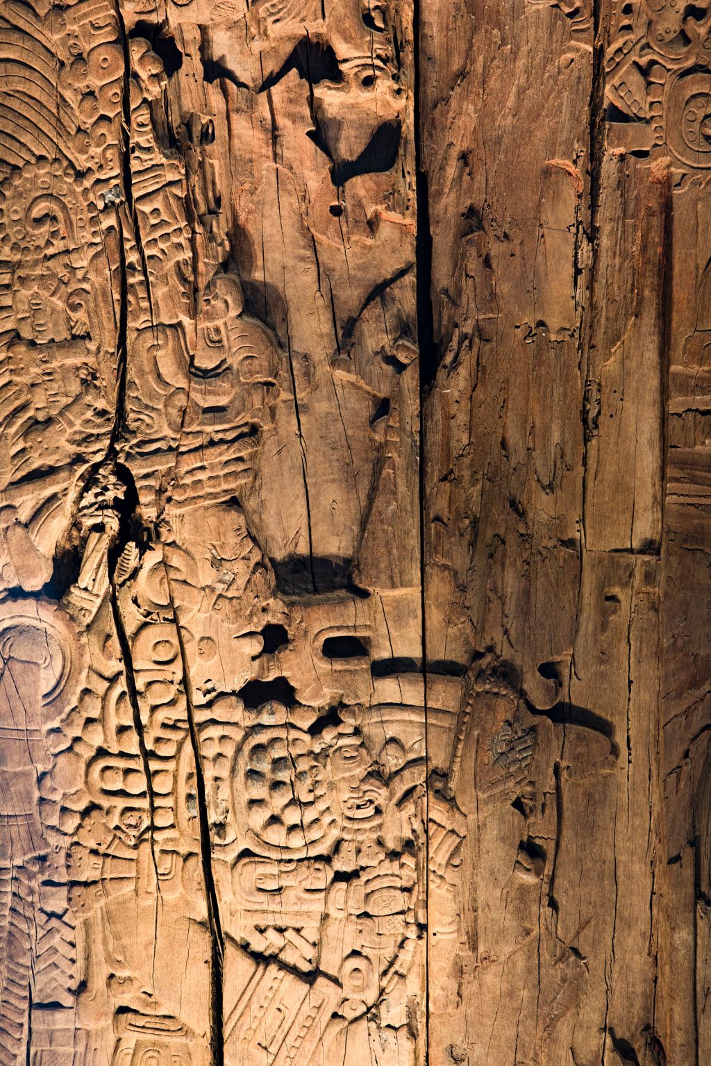 Museum der Kulturen Sammlung