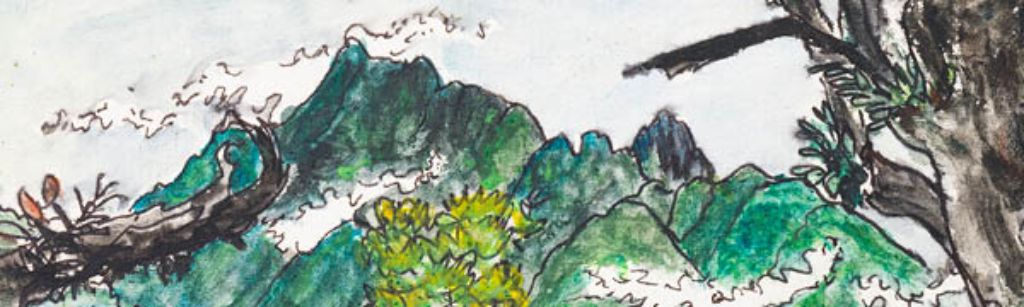 Der Wald, mein Zuhause