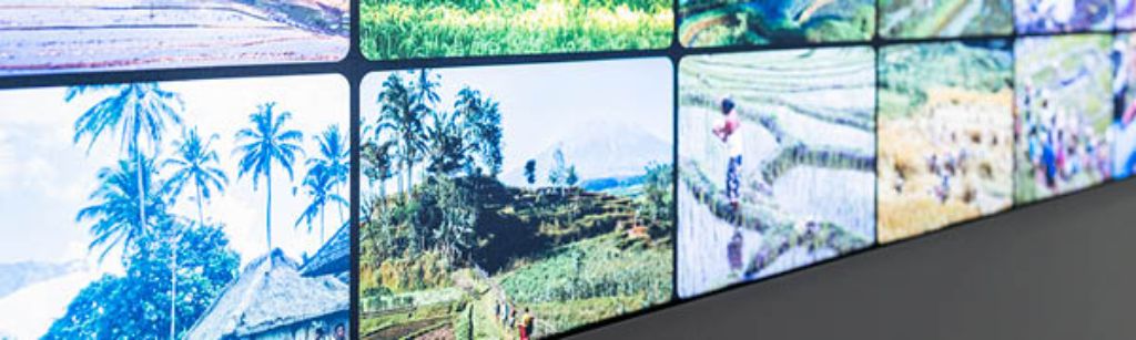 Die Welt, eine Ressource?