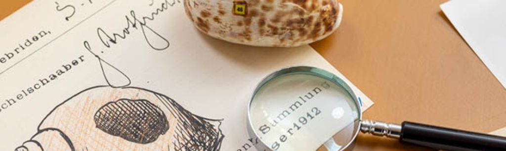 Wie kommen die Dinge ins Museum?