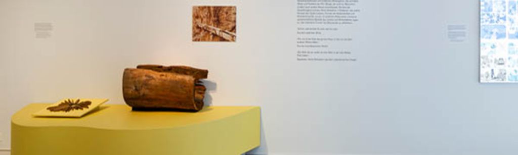 Suonen früher und heute