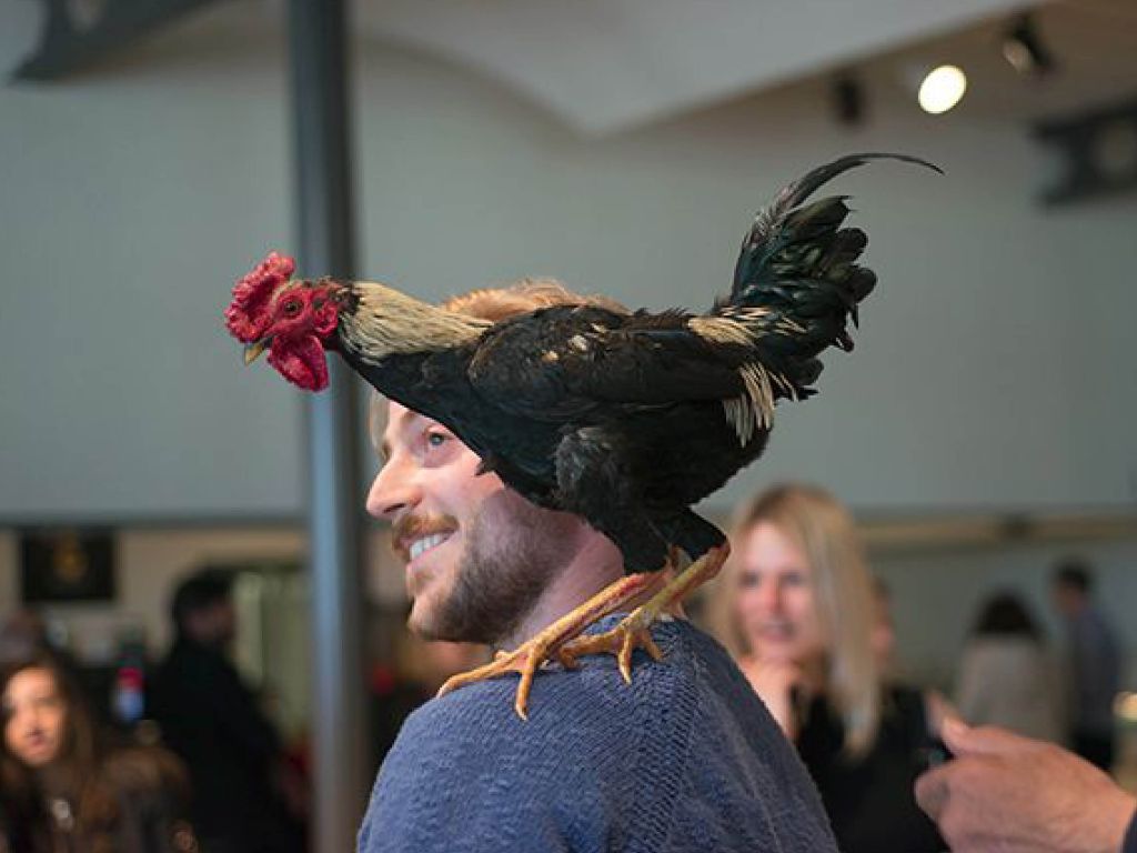 Auf der Schulter eines Mannes mit blauen Pullover steht ein schwarz-braunes Huhn. Sie sind umgeben von einem Publikum und in eine Museum