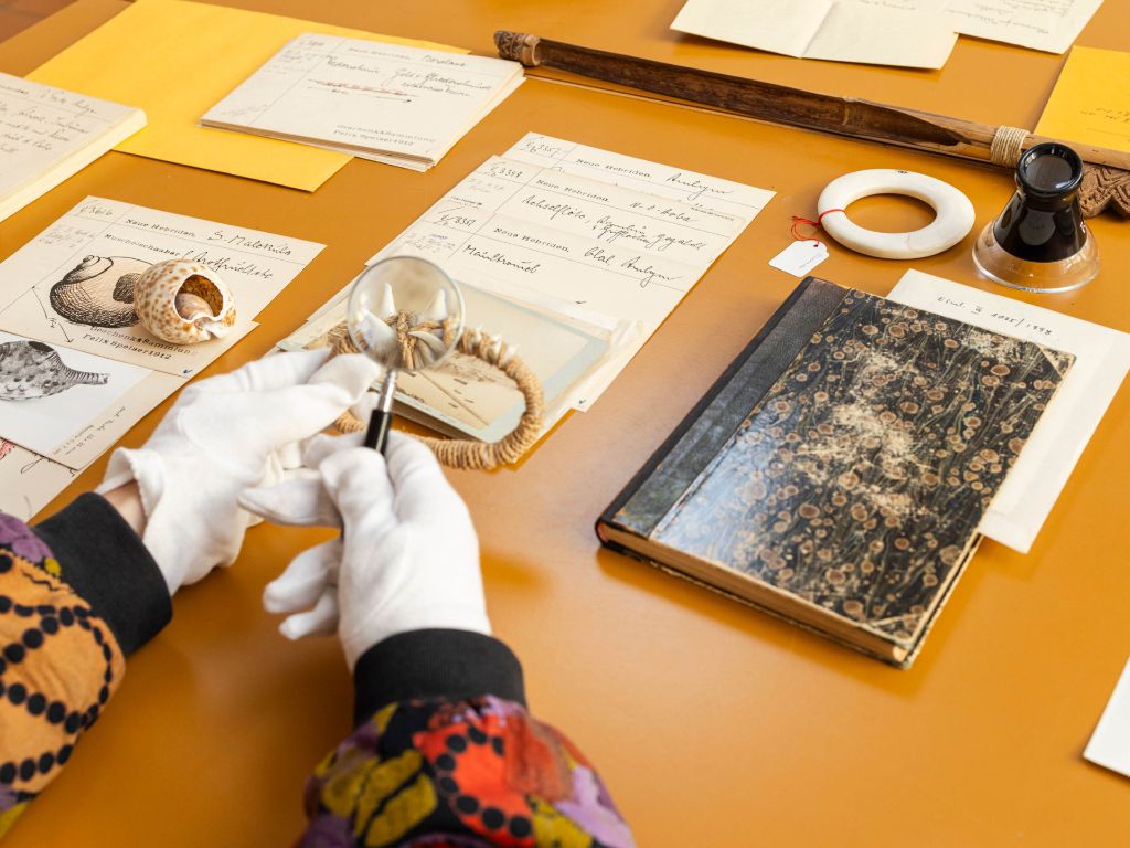 Tisch mit handschriftlich beschriebenen Karteikarten, Tagebüchern, und Objekten aus Naturmaterialen, darunter Muscheln. Weiss behandschuhte Hände halten eine Lupe.