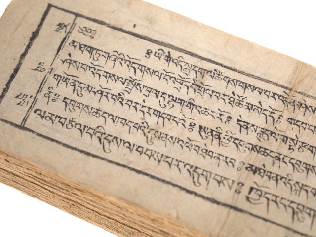 IId-14384_7228DDB_A5