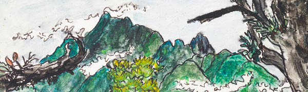 Der Wald, mein Zuhause