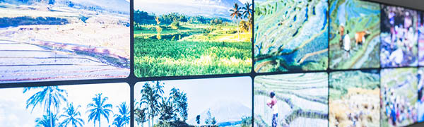 Bildung zum Schutz der Erde