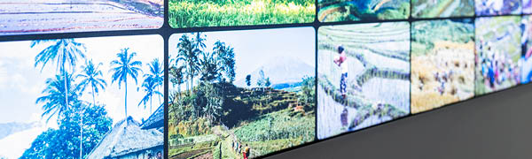 Die Welt, eine Ressource?